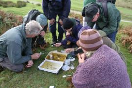 Examining the creatures found during the pond dipping demonstration © Alan Rowland